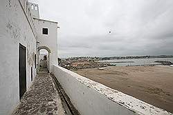 Elmina