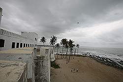 Elmina