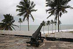 Elmina