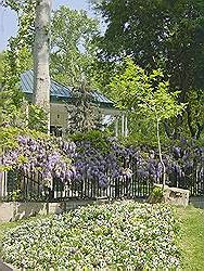 Het Niavaran paleis - het Ahmad Shahi paviljoen, omgeven door een mooie tuin