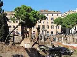 Rome - straatbeeld