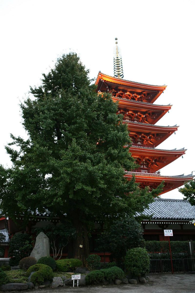 Asakusa - pagode met vijf verdiepingen