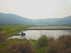 Aso - de vulkaan Mount Aso, uitzicht op rijstvelden vanuit de trein naar Kumamoto