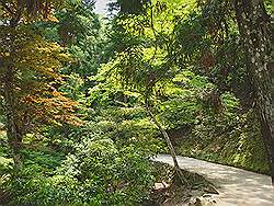 Miyajima - het park