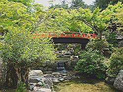 Miyajima - het park; mooi bruggetje
