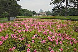 Tokio - keizerlijk paleis; oostelijke tuinen