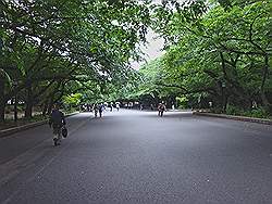 Tokio - Ueno