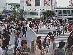Shibuja - oversteekplaats: de voetgangers gaan lopen