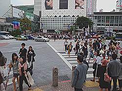 Shibuja - oversteekplaats: de voetgangers gaan lopen