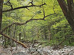 Kamikochi - mooi natuurgebied