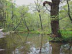 Kamikochi - mooi natuurgebied