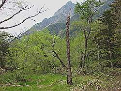 Kamikochi - mooi natuurgebied