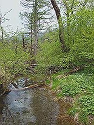 Kamikochi - mooi natuurgebied