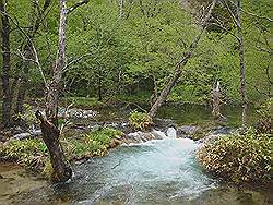 Kamikochi - mooi natuurgebied