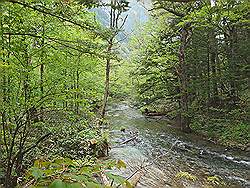 Kamikochi - mooi natuurgebied