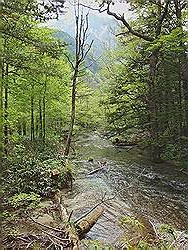 Kamikochi - mooi natuurgebied