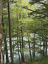 Kamikochi - mooi natuurgebied