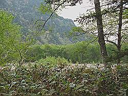 Kamikochi - mooi natuurgebied