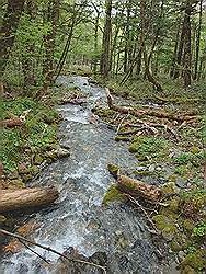 Kamikochi - mooi natuurgebied