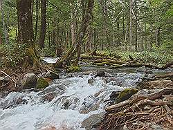 Kamikochi - mooi natuurgebied