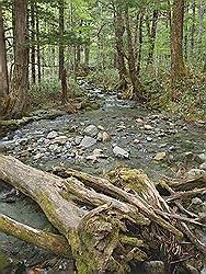 Kamikochi - mooi natuurgebied