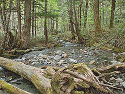 Kamikochi - mooi natuurgebied