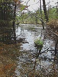 Kamikochi - mooi natuurgebied