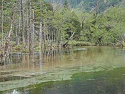 Kamikochi - mooi natuurgebied