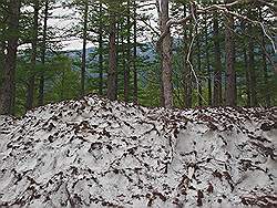 Kamikochi - mooi natuurgebied; overgebleven, smeltende sneeuw