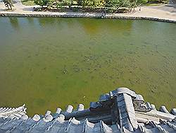 Matsumoto - Matsumoto Castle; veel karpers in de vijver voor het kasteel