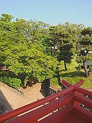 Matsumoto - Matsumoto Castle