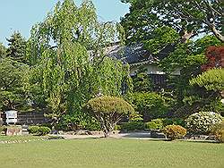 Matsumoto - Matsumoto Castle