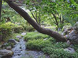 Kyoto - park