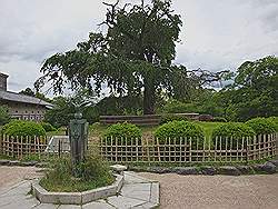 Kyoto - park