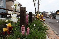 Otaru