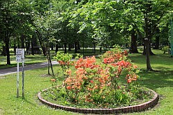 Asahikawa - het park