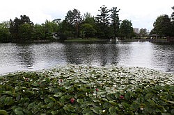 Asahikawa - het park