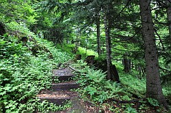 Sounkyo Gorge