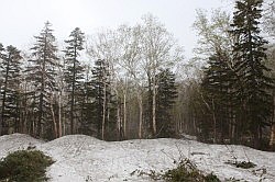 Sounkyo Gorge - er ligt nog best veel sneeuw