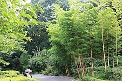 Tokio - keizerlijk paleis; de oostelijke tuinen