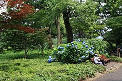 Tokio - keizerlijk paleis; de oostelijke tuinen