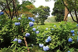 Tokio - keizerlijk paleis; de oostelijke tuinen