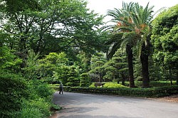 Tokio - keizerlijk paleis; de oostelijke tuinen