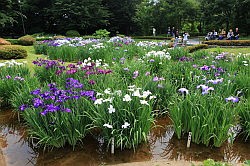 Tokio - keizerlijk paleis; de oostelijke tuinen