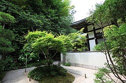 Kamakura - Hokokuji tempel