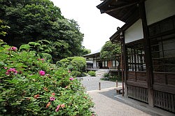 Kamakura - Hokokuji tempel