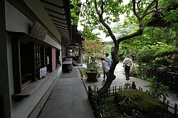 Kamakura - Hokokuji tempel