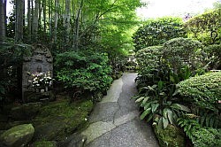 Kamakura - Hokokuji tempel