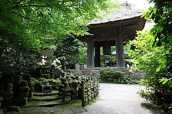 Kamakura - Hokokuji tempel