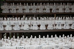 Kamakura - Kamakuragu Shrine